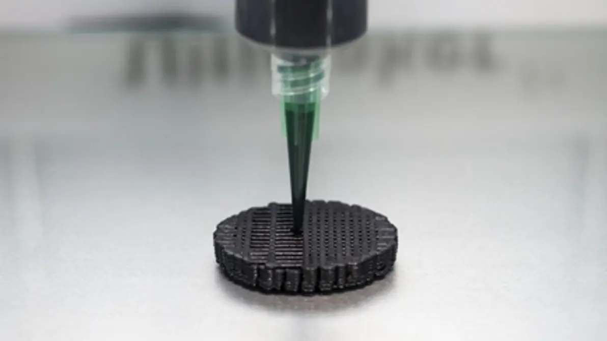 Fungi battery used in electronics