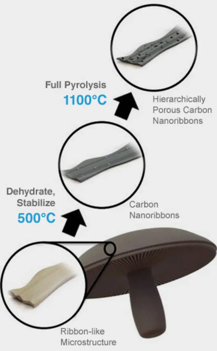 Mushroom battery internal structure visual