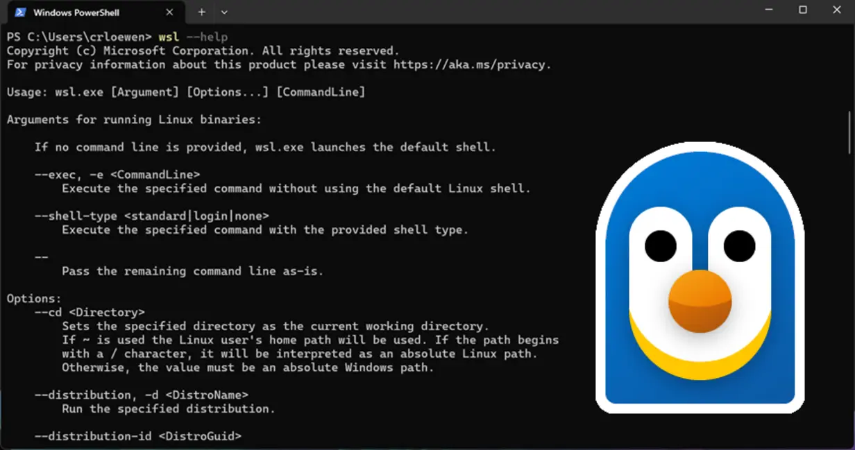 Windows Subsystem for Linux with integration features