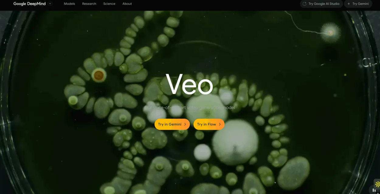 Interface for Google Veo AI video tool